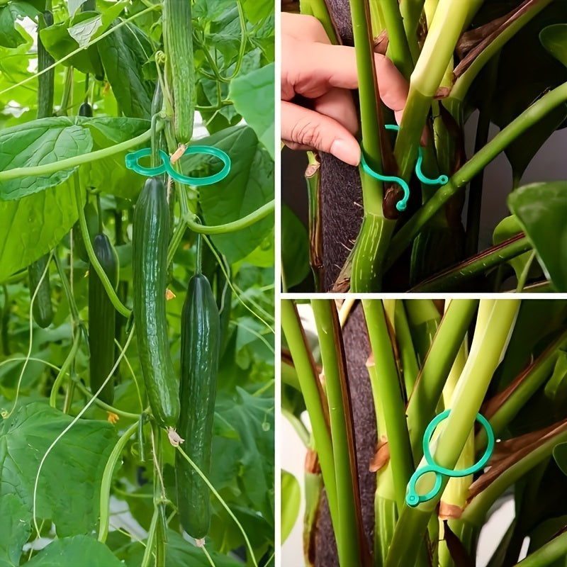 100pcs Plant Clips for Climbing Plants Garden Tomato Vegetable Support