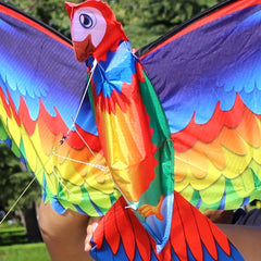 3D Parrot Kite Outdoor Activity Flying Toy