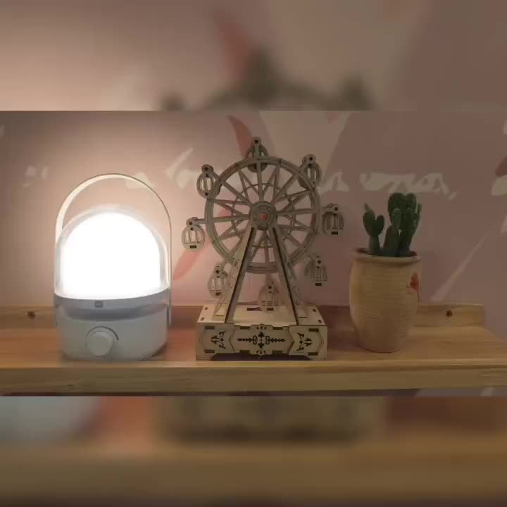 Wooden 3D Puzzle Ferris Wheel Music Box DIY Craft Kit