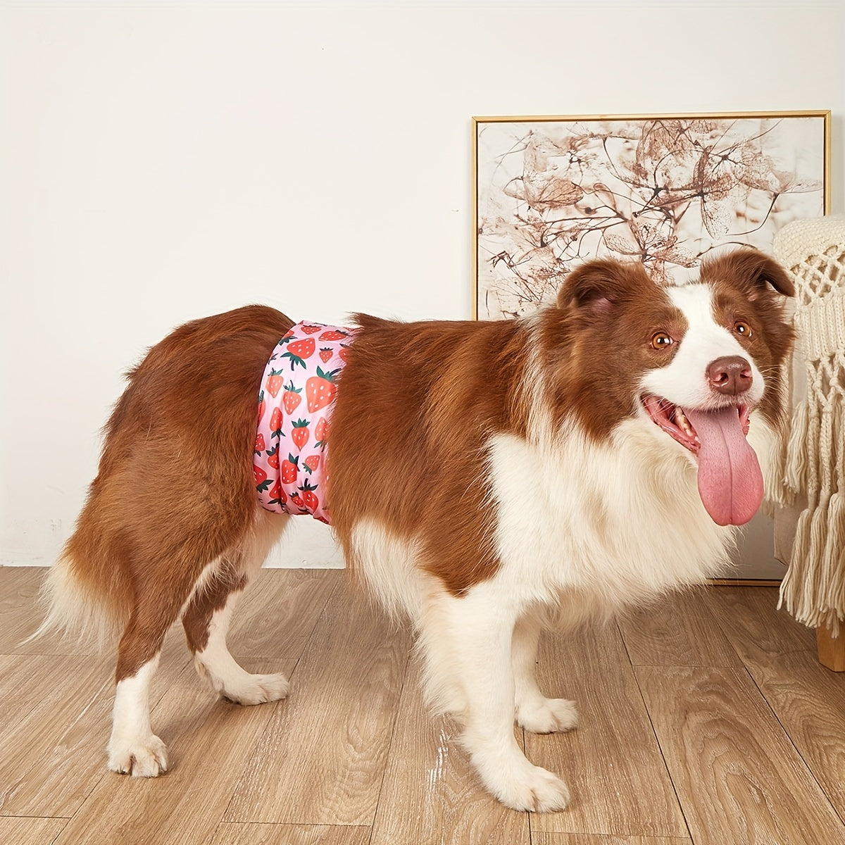 Male Dog Diapers Sanitary Physiological Pants Belly Wrap Band
