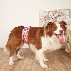 Male Dog Diapers Sanitary Physiological Pants Belly Wrap Band