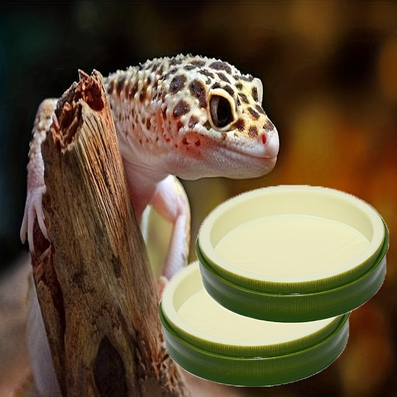 Amphibian Food & Water Feeding Basin Lizard Housekeeping Bowl