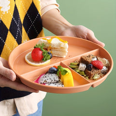 Plastic Dinner Plate for Weight Loss and Picnic
