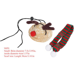 Festive Bearded Dragon Santa Hat with Scarf Christmas Costume