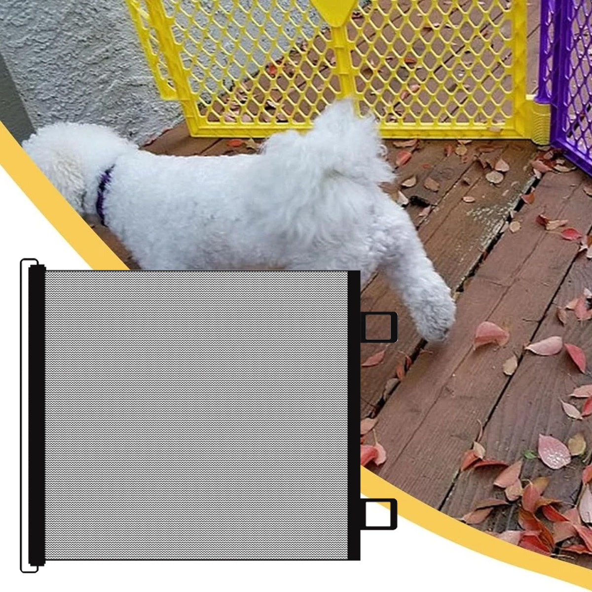 img_7386762