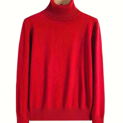 Women's Solid Turtle Neck Sweater Long Sleeve Casual Sweater