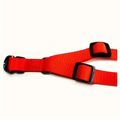 img_5537160