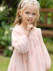 Blossoms Embroidery Mesh Collared Princess Dress For Girls
