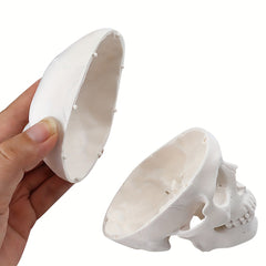 Anatomical Mini Skull Model with Removable Cap - Teaching Tool