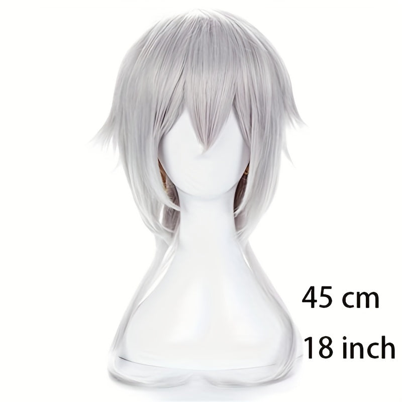 Anime Cosplay Silver Gray Men's Wig Full Head Cover