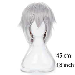 Anime Cosplay Silver Gray Men's Wig Full Head Cover