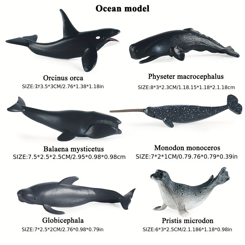 6pcs Marine Life Model Fish Animal Toys Shark Killer Whale Ornaments