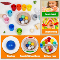 Rainbow Ball Matching Toy Set for Fine Motor Skills