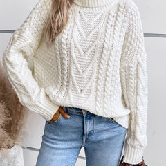 Solid Turtle Neck Pullover Sweater Long Sleeve Casual Winter Women's Clothing