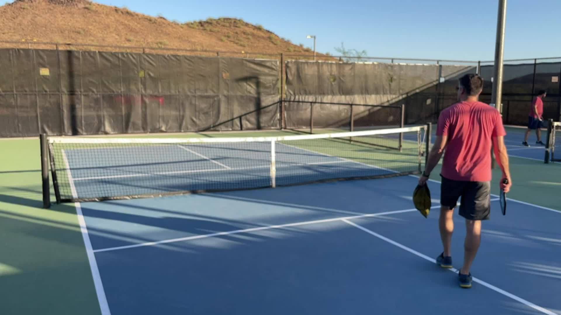 12pcs USAPA Approved Pickleballs with Mesh Bag, High Elasticity & Durable
