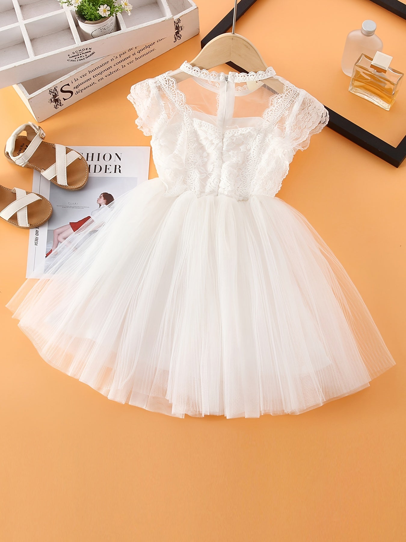 Baby Girls Sleeveless Lace Tulle Dress Flower Embroidery Tutu Dress