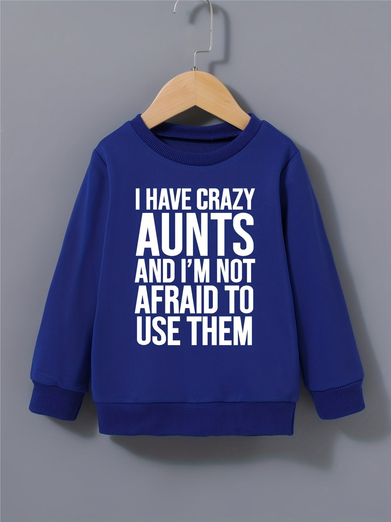 Boys Sweatshirt Round Neck Long Sleeve Pullover I HAVE CRAZY AUNTS Print
