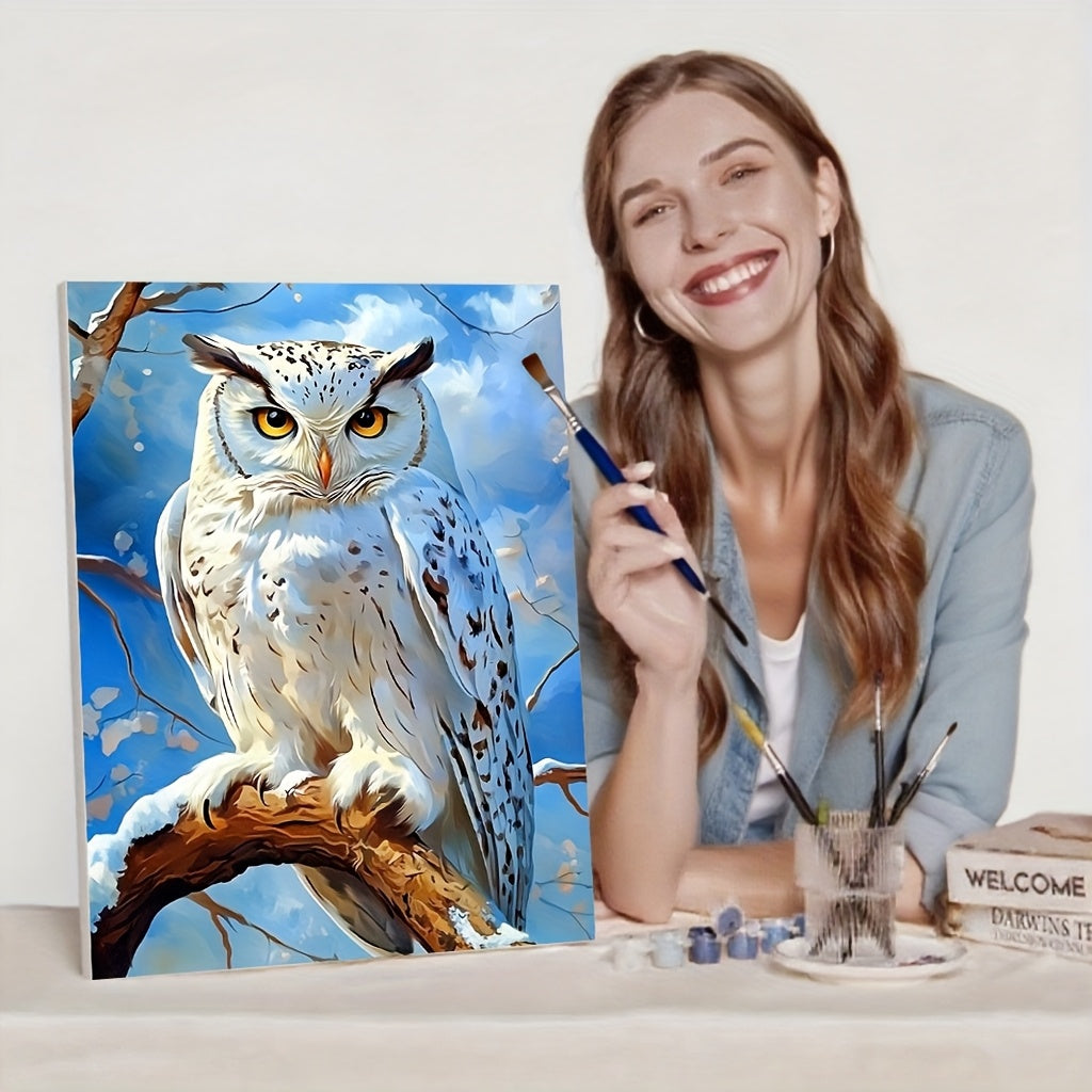 Adult DIY Paint by Numbers Kit Owl Christmas Birthday Gift Home Decor