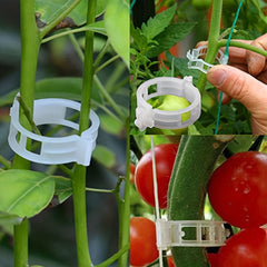 Plant Support Clips for Tomato Vine Vegetables Garden - 50/100/200pcs