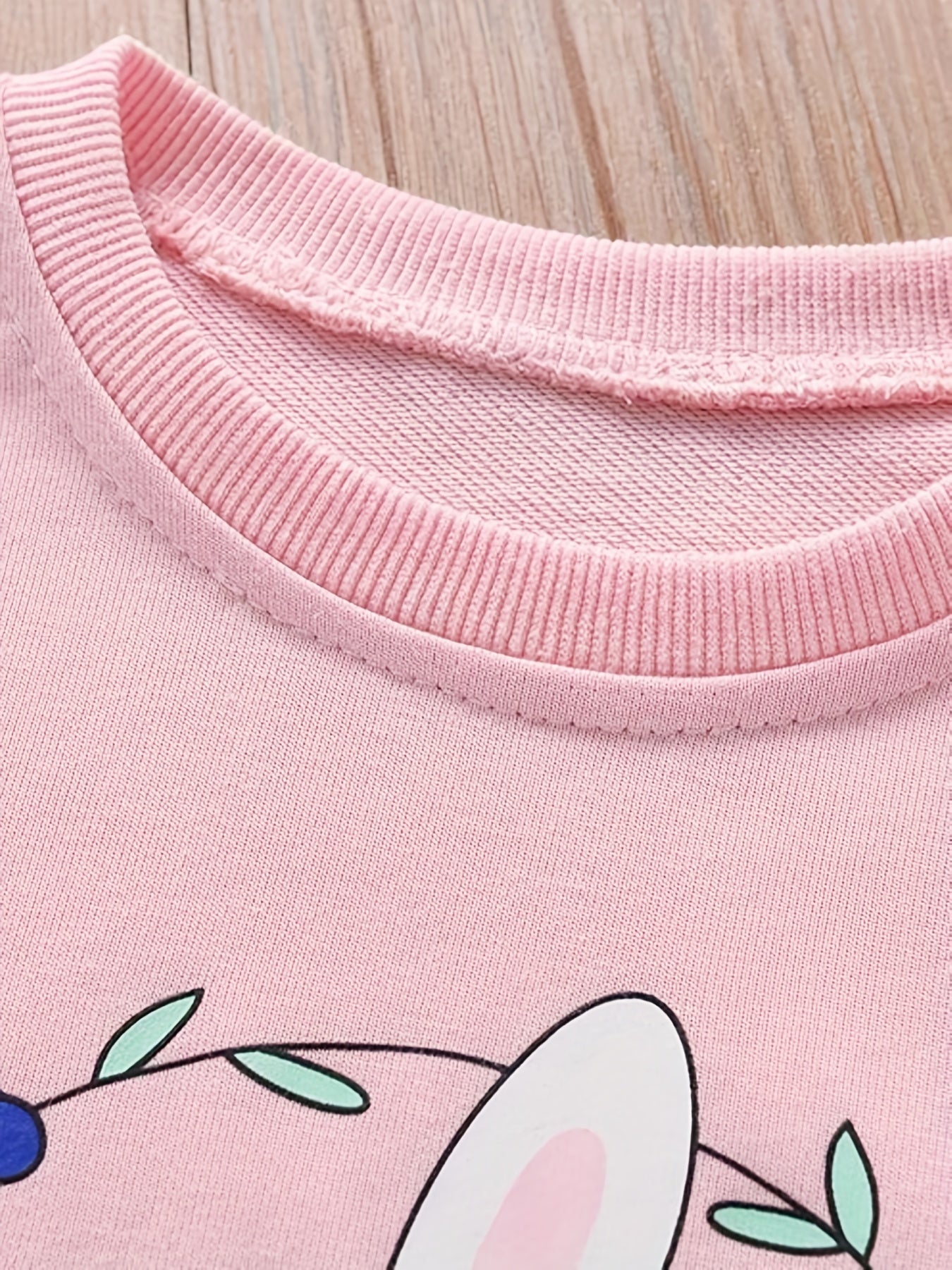 Girl's Rabbit Print 2pcs Sweatshirt & Sweatpants Set for Spring Fall