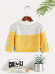 Block Round Neck Jacquard Knitted Pullover Top Girls Sweater