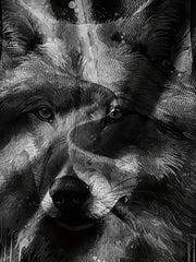 Wolf Portrait Print Tee Boys Round Neck Short Sleeve T shirt