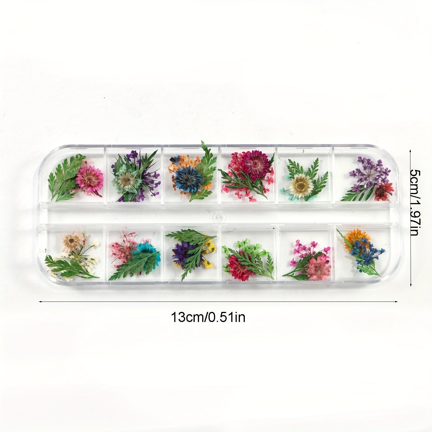Natural Dried Flower Daisy Pressed Dried Flower With Leaf Resin Mold Fillings