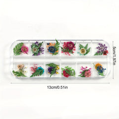 Natural Dried Flower Daisy Pressed Dried Flower With Leaf Resin Mold Fillings