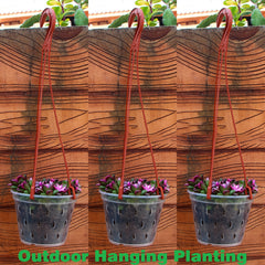 3pcs Transparent Orchid Pots W/ Saucers & Hanging Hooks Indoor Outdoor Decor