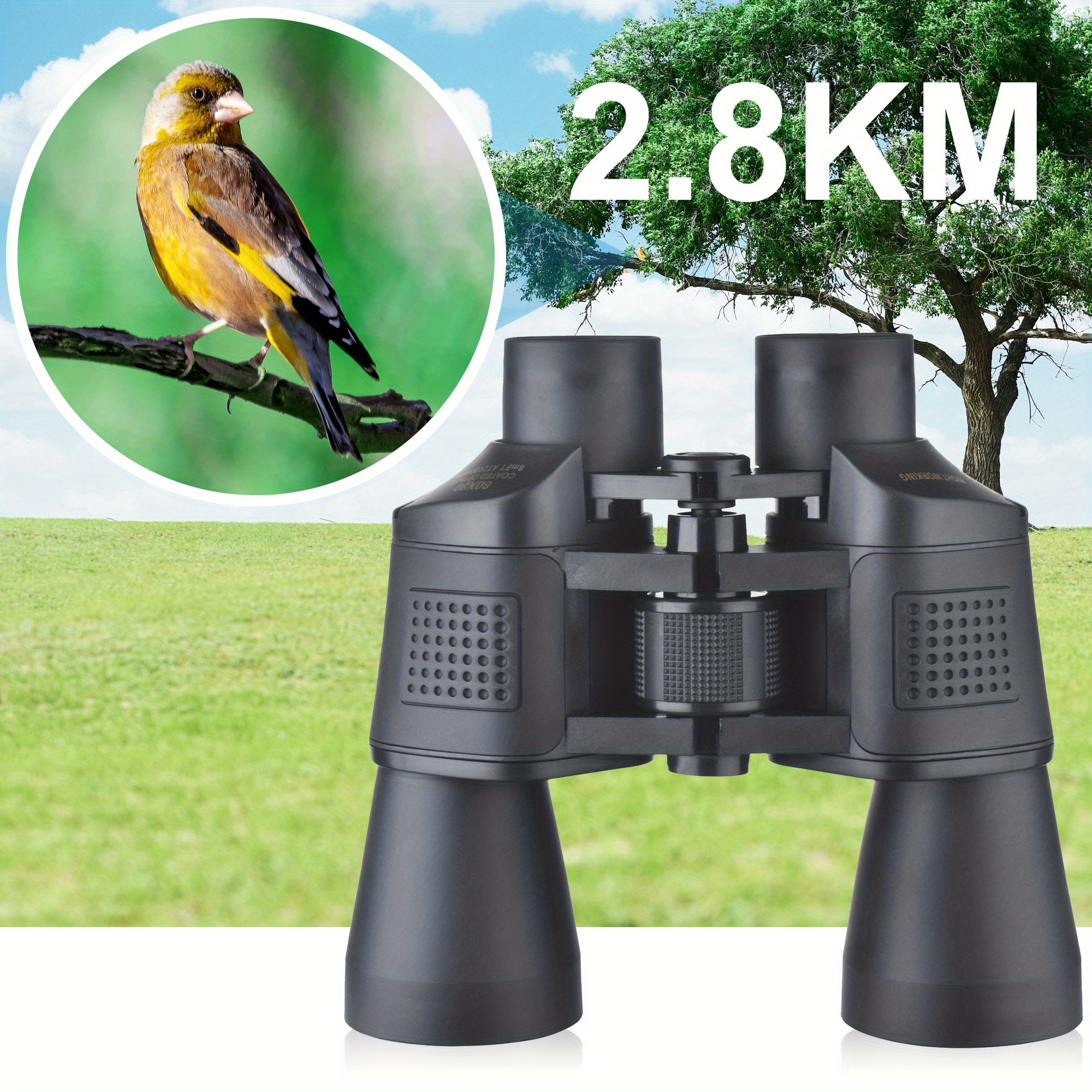 Compact Binoculars for Concerts and Sports Events
