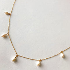 img_6161686