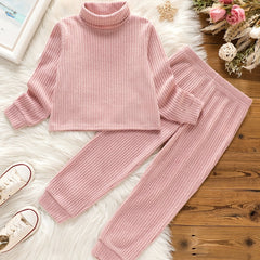 Toddler Girls Ribbed Sweater & Pants Set Turtleneck Long Sleeve Pullover Top