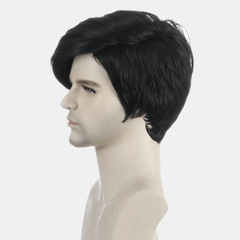 Men's Short Curly Hair Daily Dressing Wig