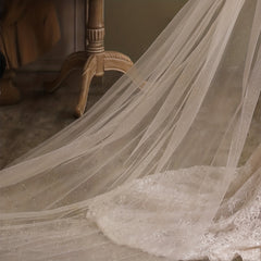 Mesh Long Cathedral Style Bridal Veil with Comb