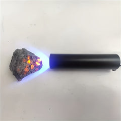 img_5594808
