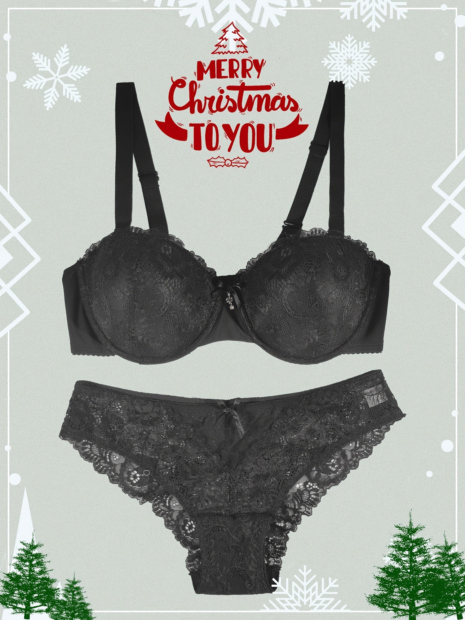 Sexy Lace Push Up Bra & Panty Set