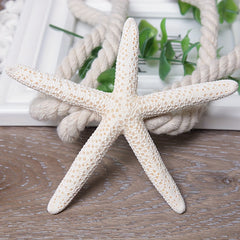 Natural Starfish Curtain Tiebacks for Home Decor