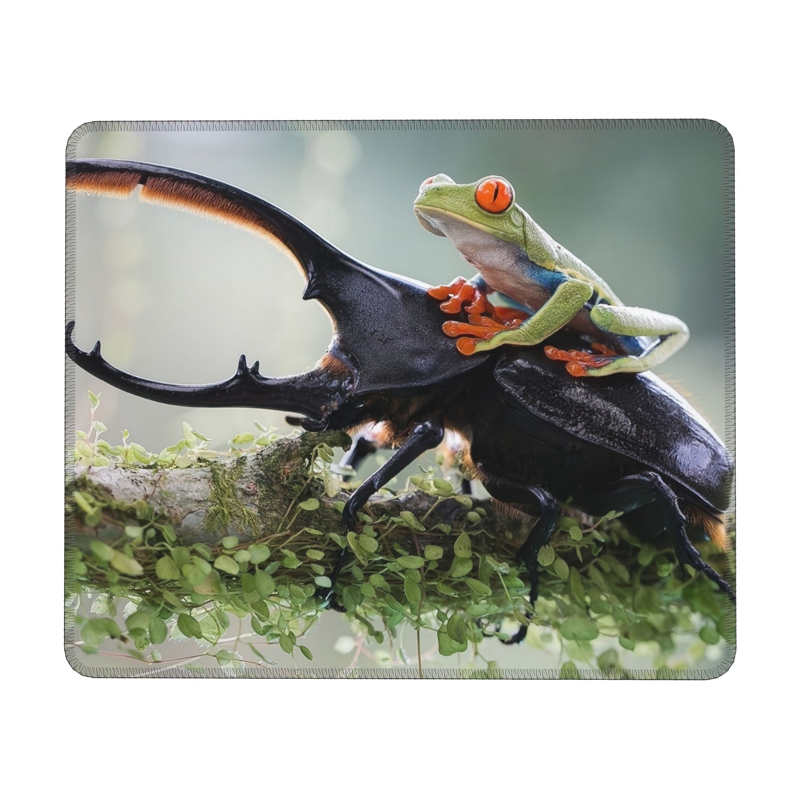 Insect & Frog Pattern 20x24cm Mouse Pad for Games and Office