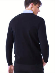 Bird Print Men's V Neck Pullover Knitted Top