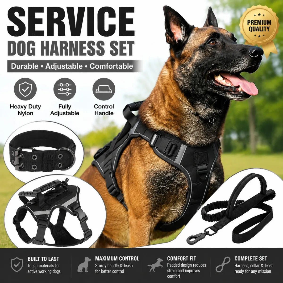 img_4063799