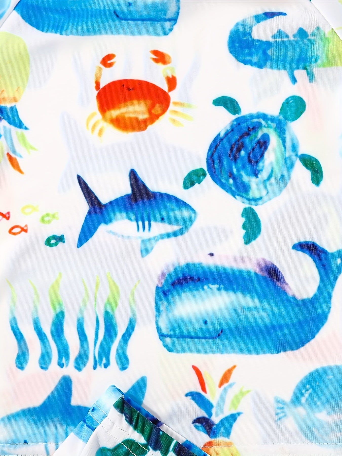 Boys Cartoon Whale Crab Sea Turtle Print Swimwear Set