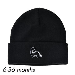 Colorful Selection Beanie Knit Winter Hat for Boys Girls