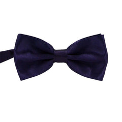 Casual Adult Polyester Silk Multicolor Bow Tie