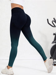 Ombre Workout Leggings Seamless High Waisted Tummy Control Yoga Pants