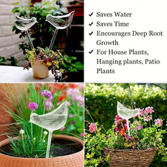 2 Pcs Plant Waterer Self Watering Globes Bird Shape Hand Blown Clear Plastic