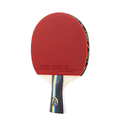 Table Tennis Paddle with Ergonomic Handle and Storage Bag