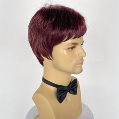 Men's Short Wig for Parties and Holidays