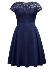 Contrast Lace Cap Sleeve V Neck A Line Dress
