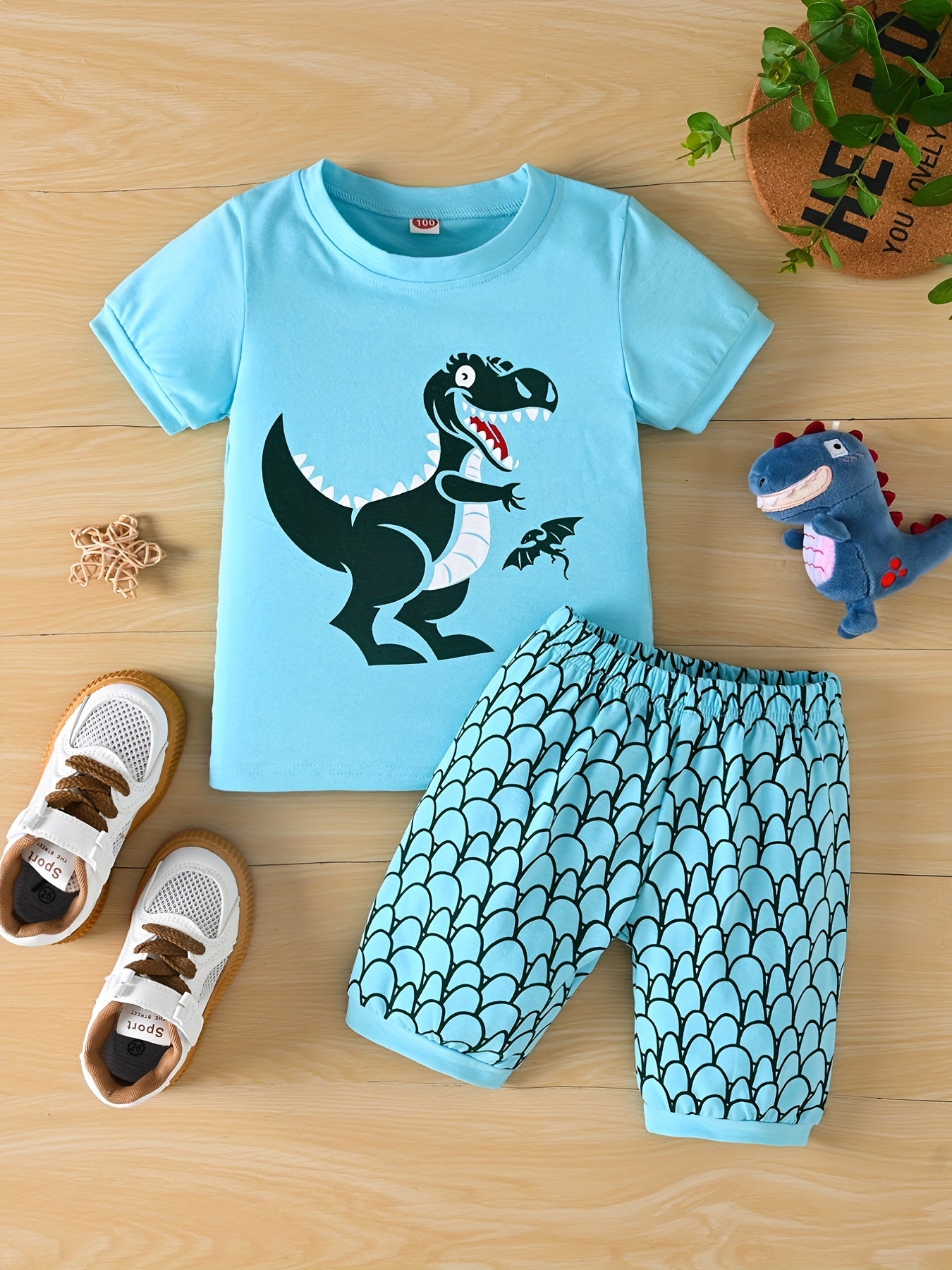 Boys Dinosaur Print T-shirt & Shorts Set