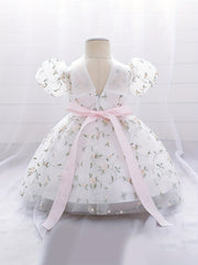 Baby Girl's Floral Embroidery Mesh Princess Dress